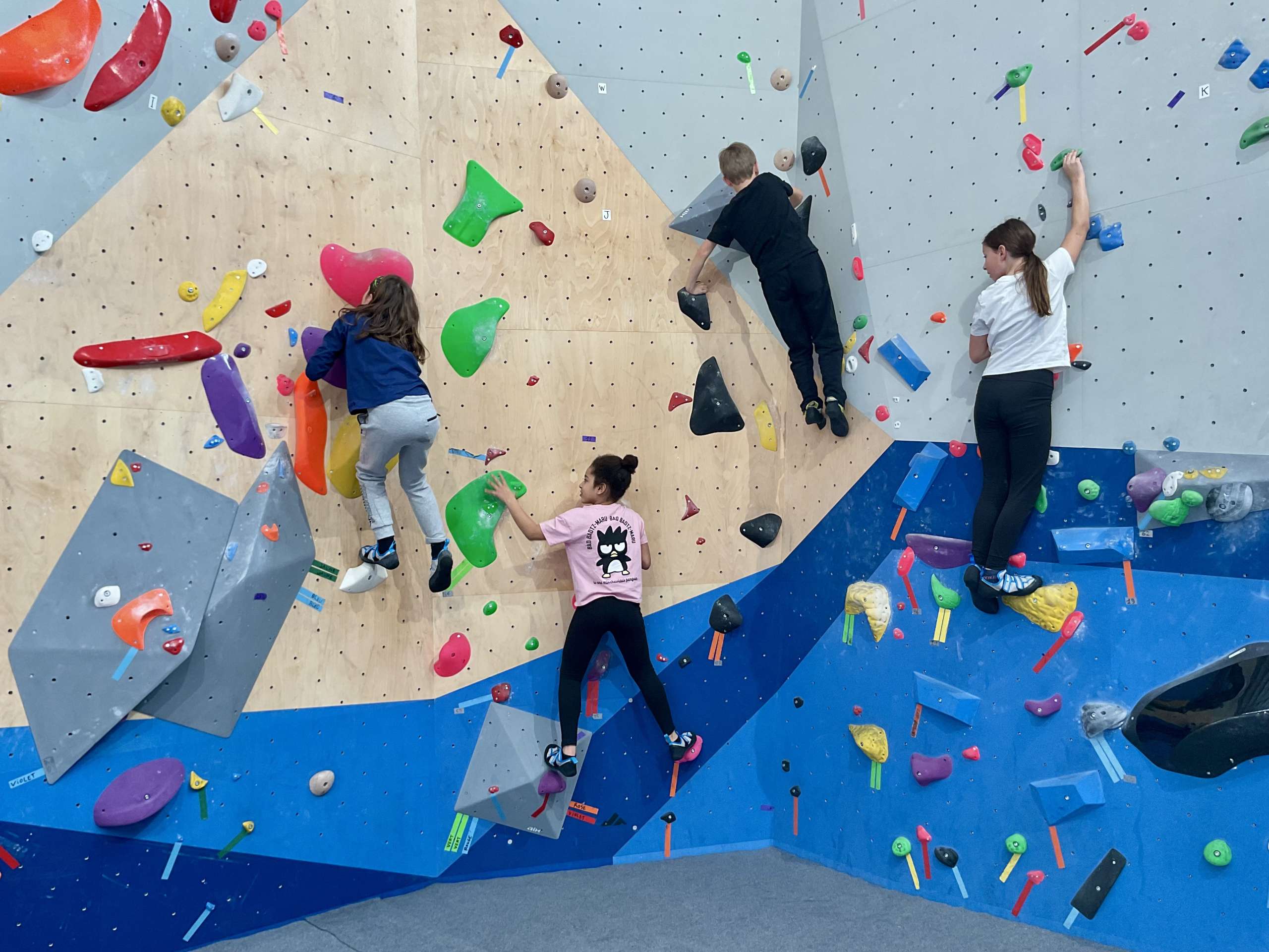 Découverte de l’escalade